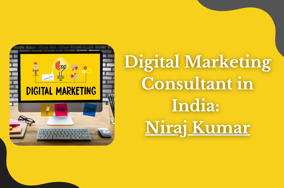 Digital Marketing Consultant